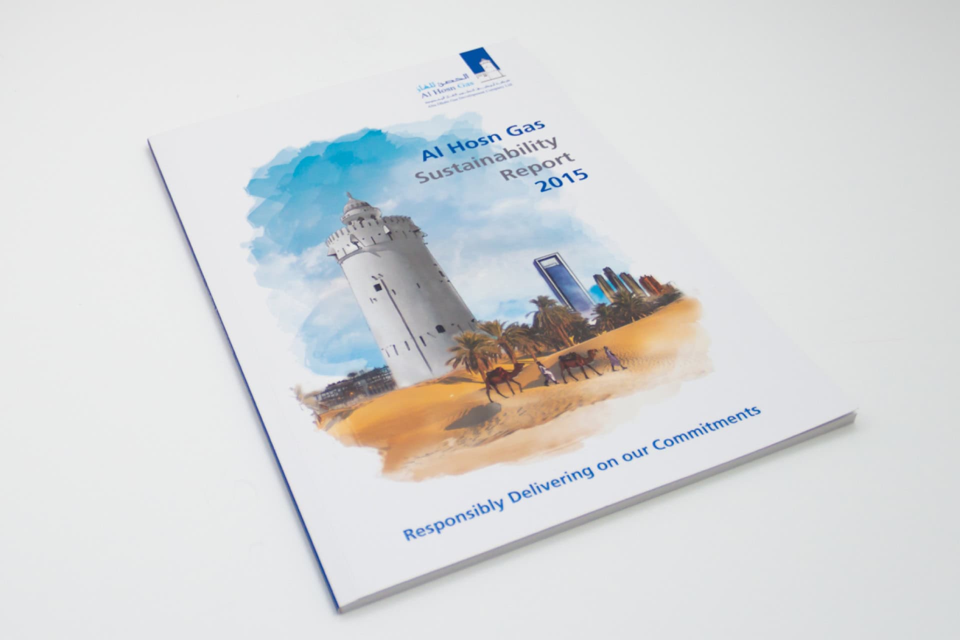 ADNOC portfolio image 12