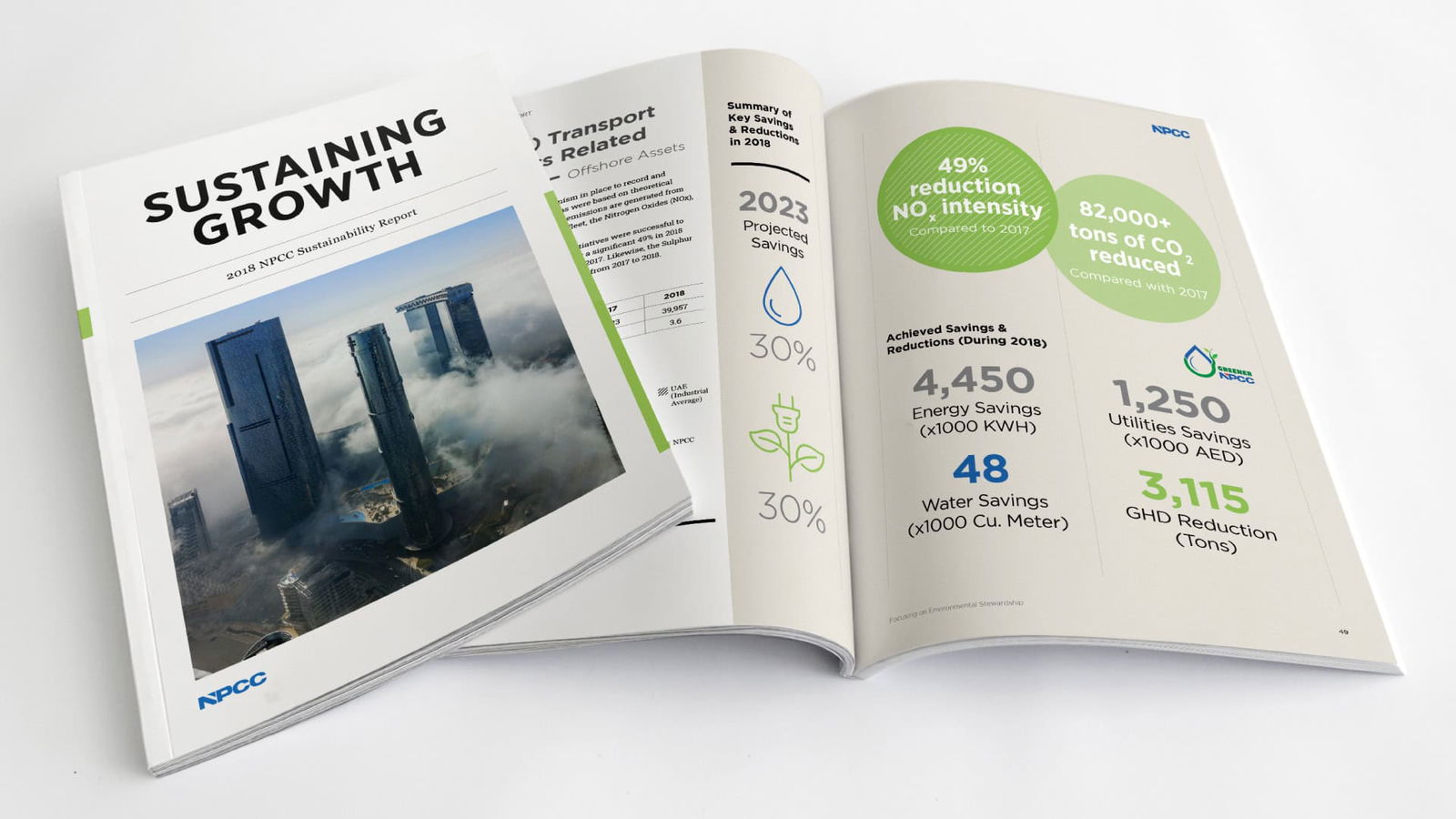 NPCC portfolio image 2