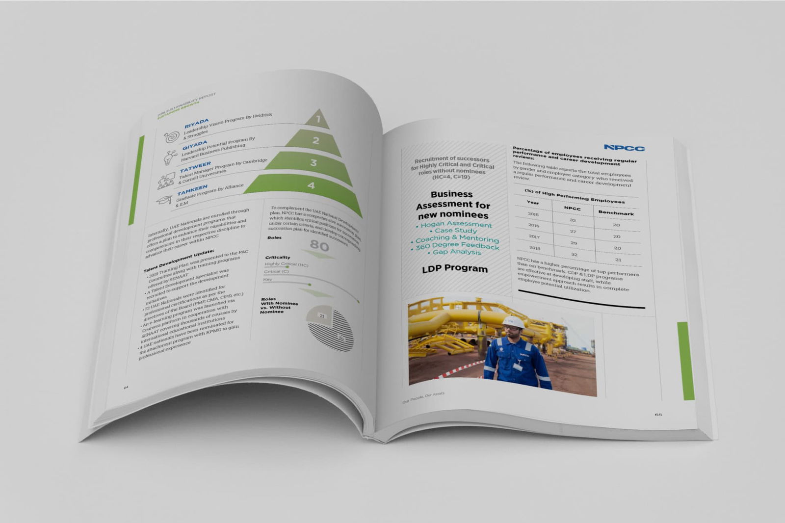 NPCC portfolio image 8