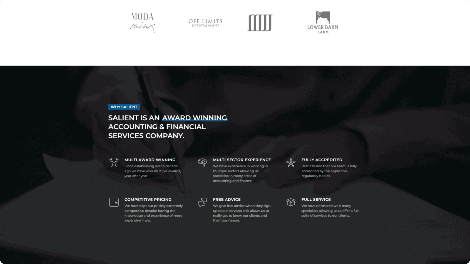 Salient portfolio image 3