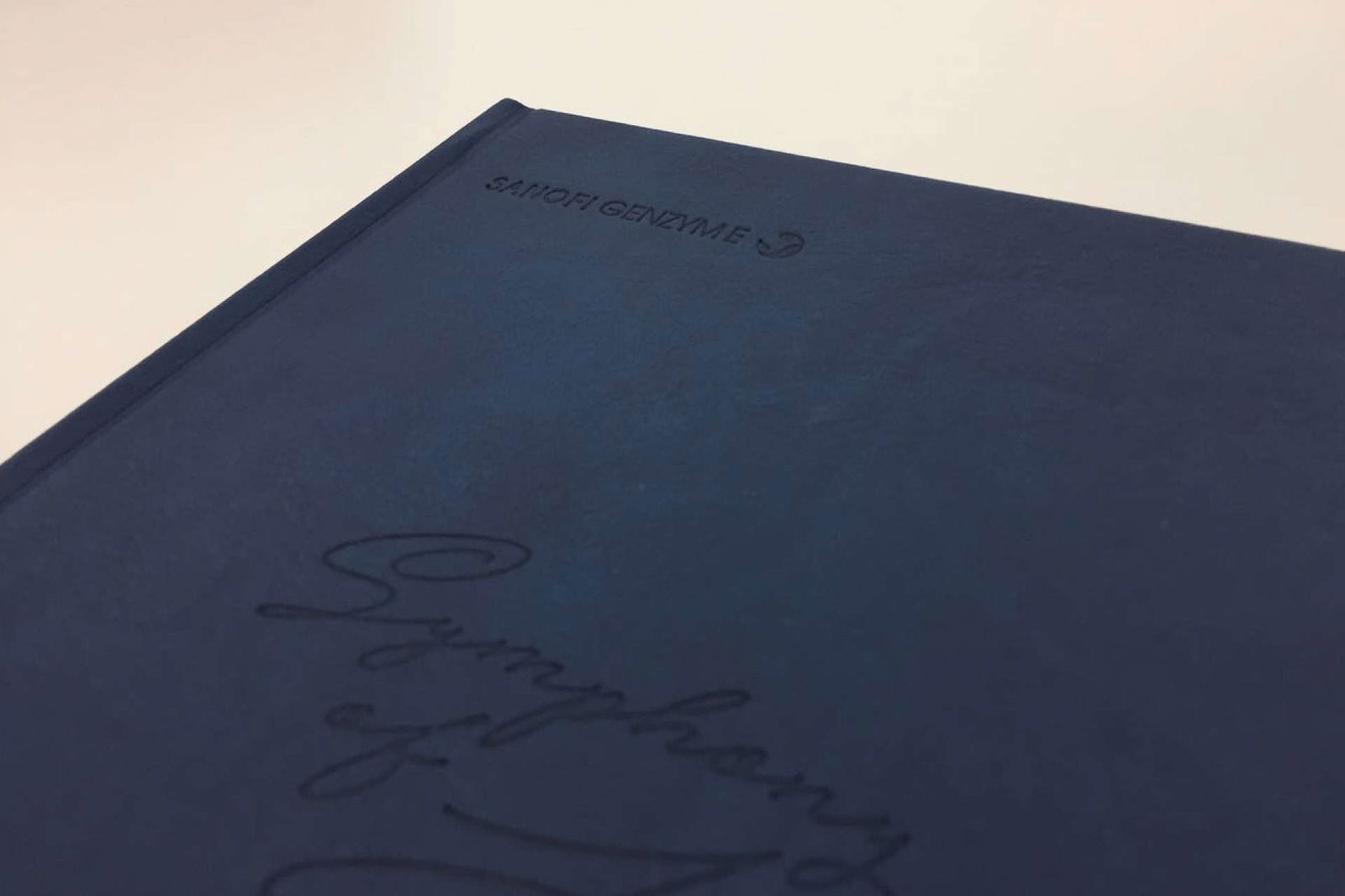 Sanofi portfolio image 2