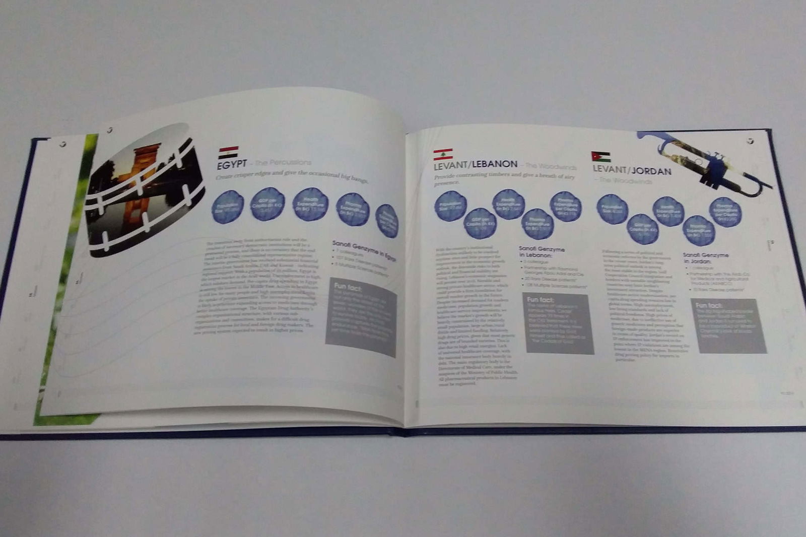 Sanofi portfolio image 10