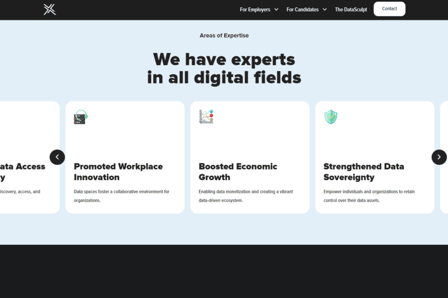 Tidal - X portfolio image 2