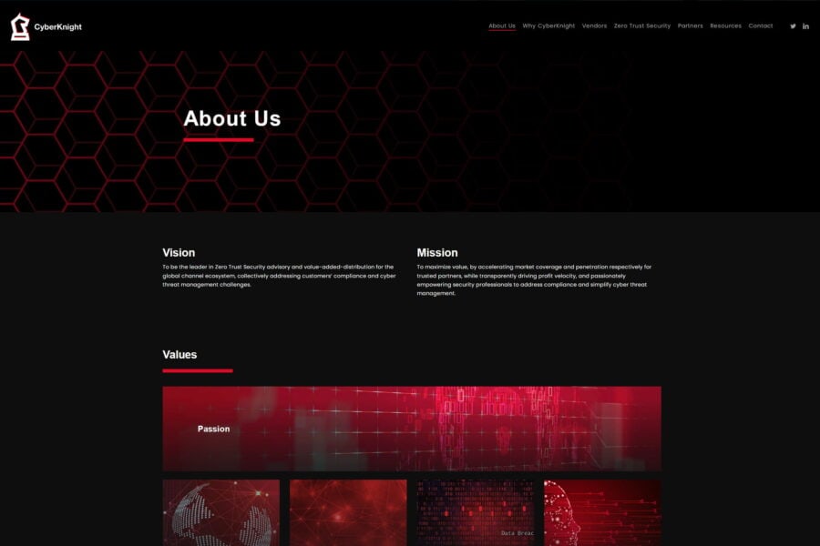 Cyber Knight portfolio image 3